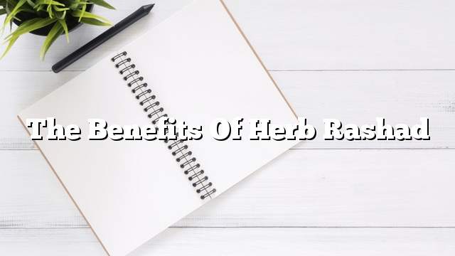 The benefits of herb Rashad