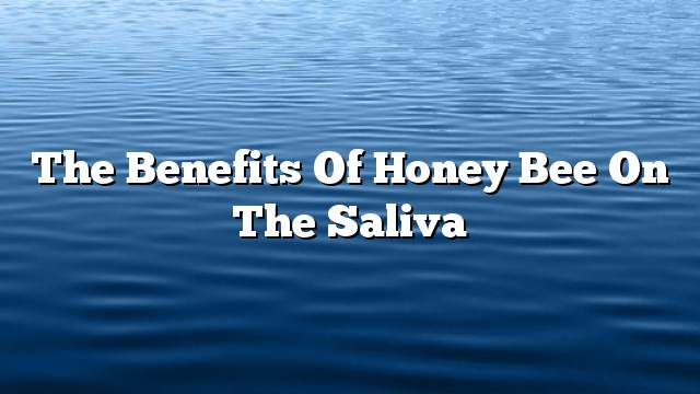 The benefits of honey bee on the saliva