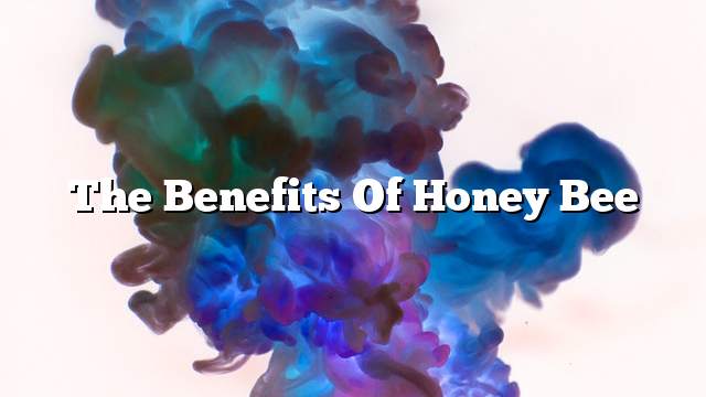 The benefits of honey bee