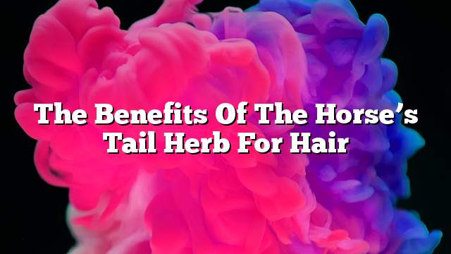 The benefits of the horse’s tail herb for hair