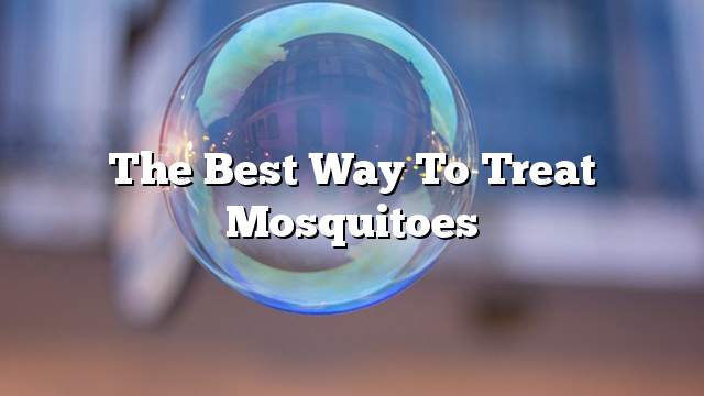 The best way to treat mosquitoes