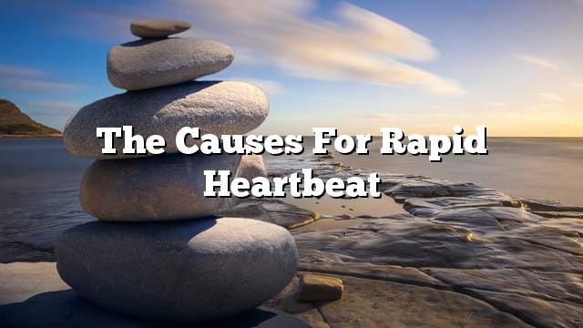 The causes for rapid heartbeat