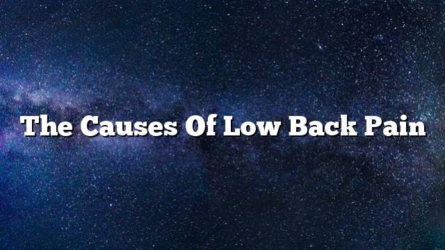 The causes of low back pain