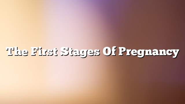 The first stages of pregnancy