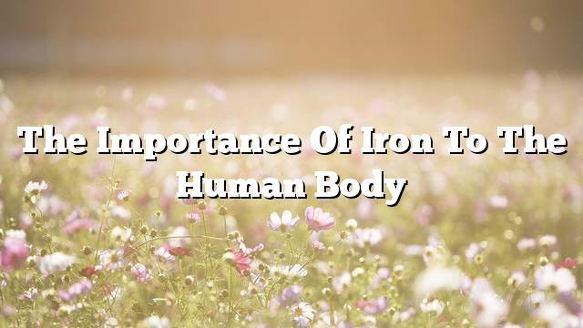 The importance of iron to the human body