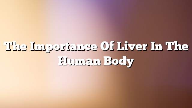 The importance of liver in the human body