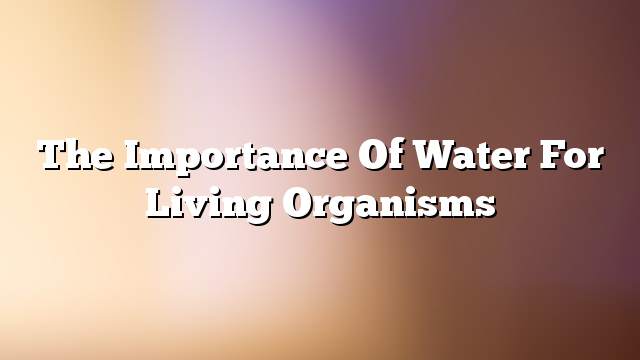 The importance of water for living organisms