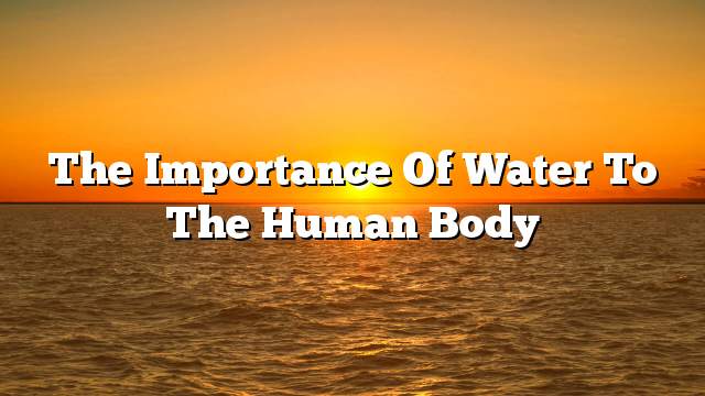 The importance of water to the human body