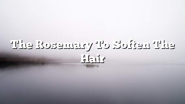 The rosemary to soften the hair