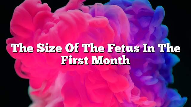 The size of the fetus in the first month