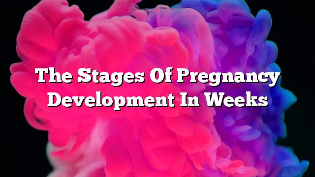 The stages of pregnancy development in weeks