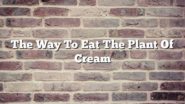 The way to eat the plant of cream