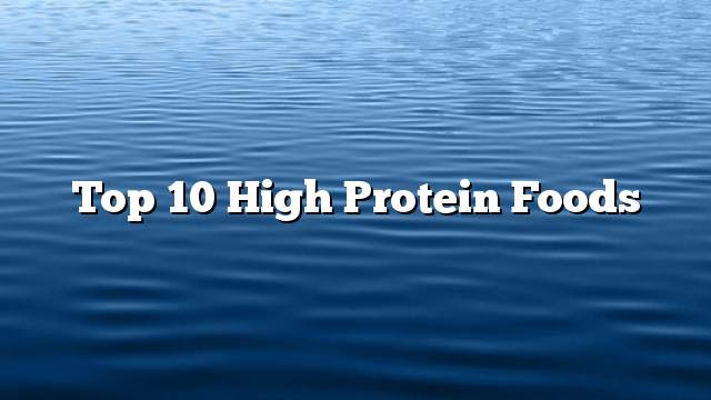 Top 10 high protein foods