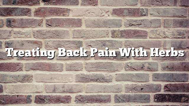 Treating back pain with herbs