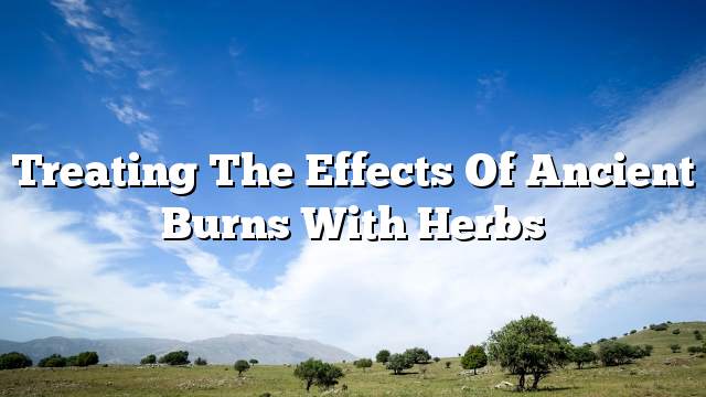 Treating the effects of ancient burns with herbs