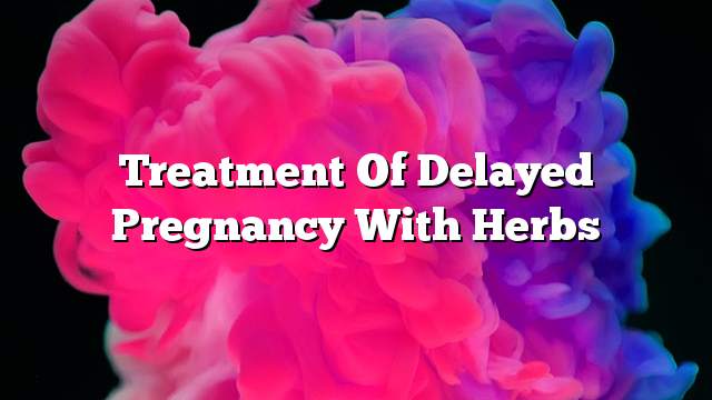 Treatment of delayed pregnancy with herbs
