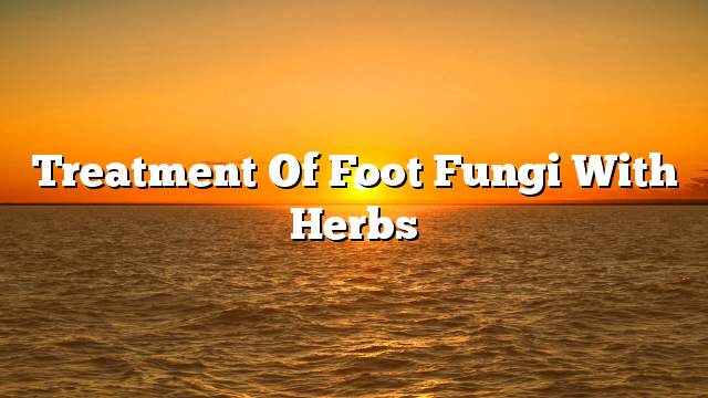 Treatment of foot fungi with herbs