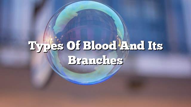 Types of blood and its branches