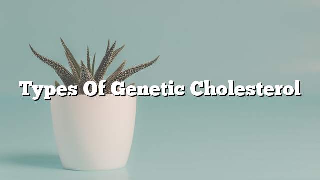 Types of genetic cholesterol