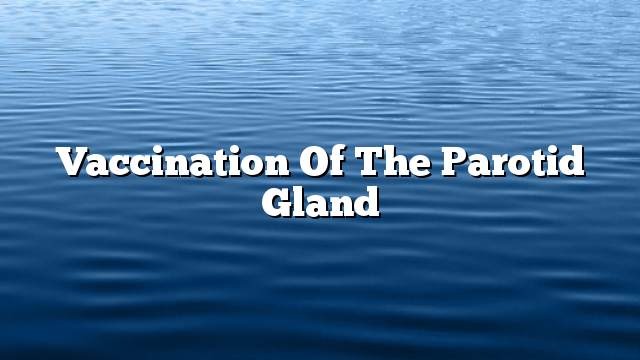 Vaccination of the parotid gland