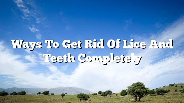 Ways to get rid of lice and teeth completely