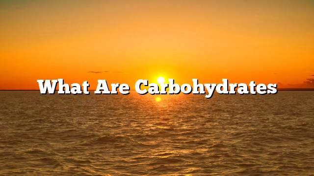 What are carbohydrates