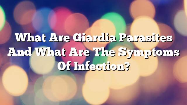 What are Giardia parasites and what are the symptoms of infection?