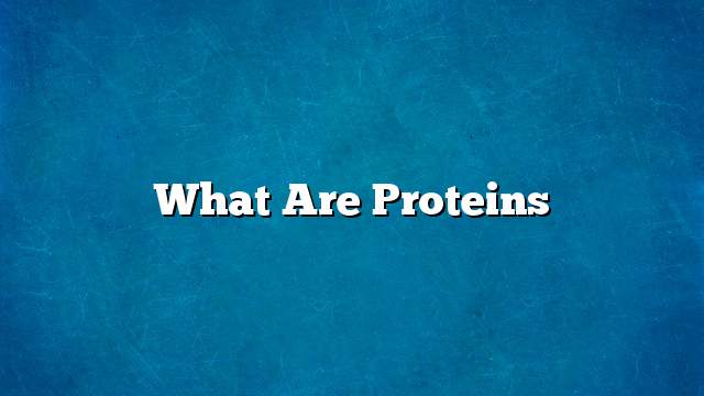 What are proteins