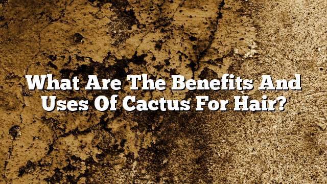 What are the benefits and uses of cactus for hair?