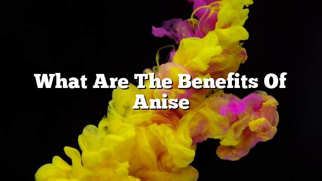 What are the benefits of anise