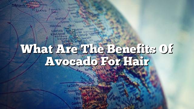 What are the benefits of avocado for hair