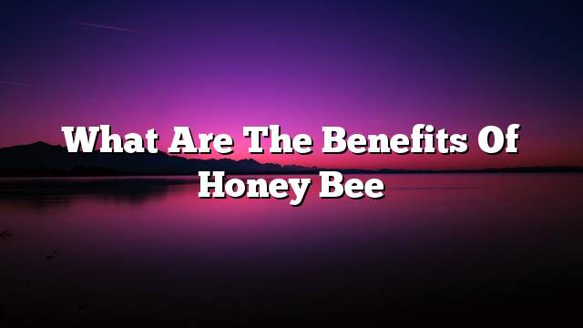 What are the benefits of honey bee