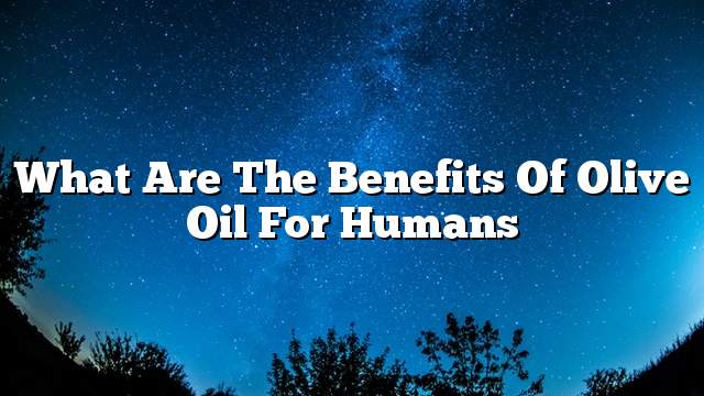 What are the benefits of olive oil for humans