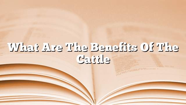 What are the benefits of the cattle