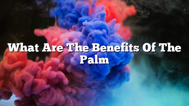 What are the benefits of the Palm