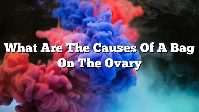 What are the causes of a bag on the ovary