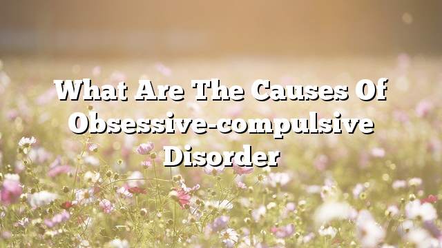 What are the causes of obsessive-compulsive disorder