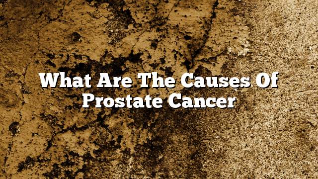 What are the causes of prostate cancer