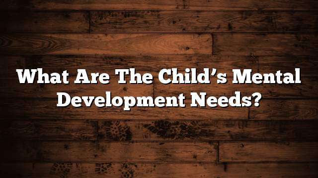 What are the child’s mental development needs?