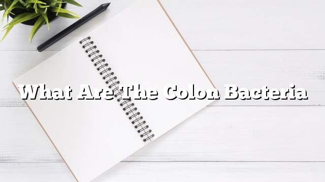 What are the colon bacteria