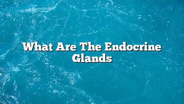 What are the endocrine glands