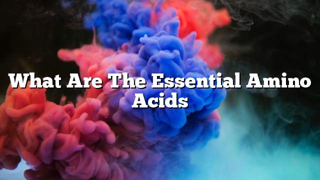 What are the essential amino acids