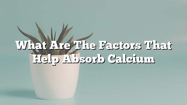 What are the factors that help absorb calcium