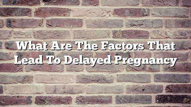 What are the factors that lead to delayed pregnancy