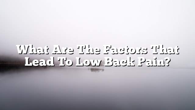 What are the factors that lead to low back pain?