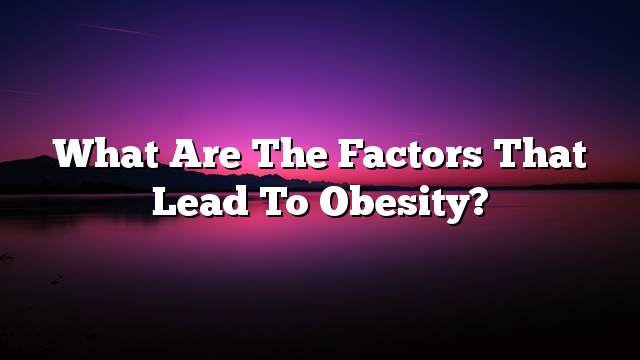 What are the factors that lead to obesity?