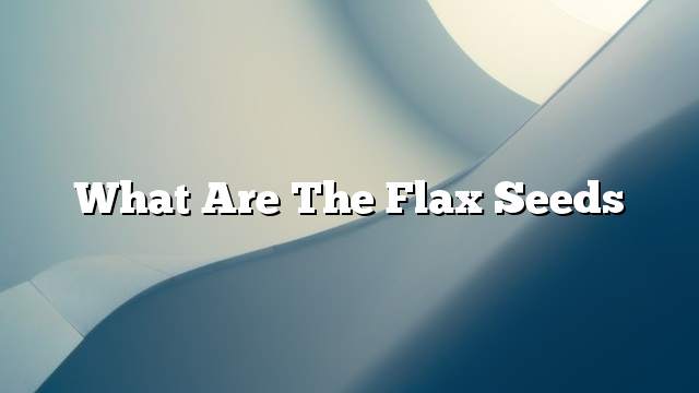 What are the flax seeds