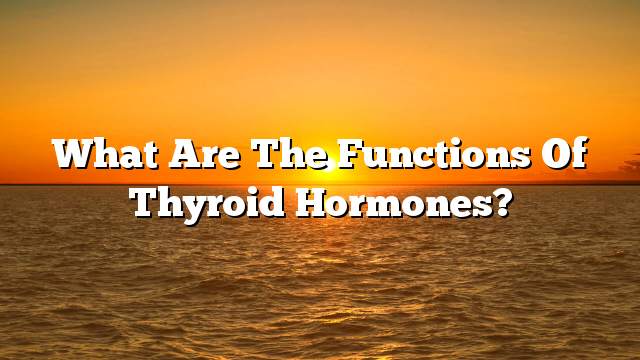 What are the functions of thyroid hormones?