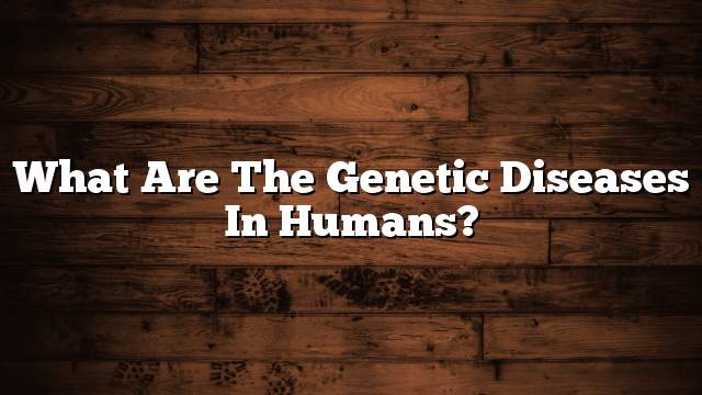 What are the genetic diseases in humans?