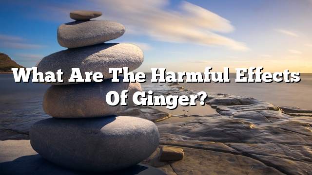 What are the harmful effects of ginger?